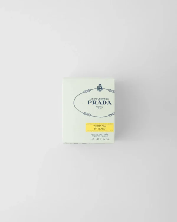 Men's Fragrances | Women's Fragrances*Prada Infusion d'Ylang Candle Neutri