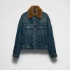 Denim*Prada Padded denim blouson jacket with shearling collar Navy