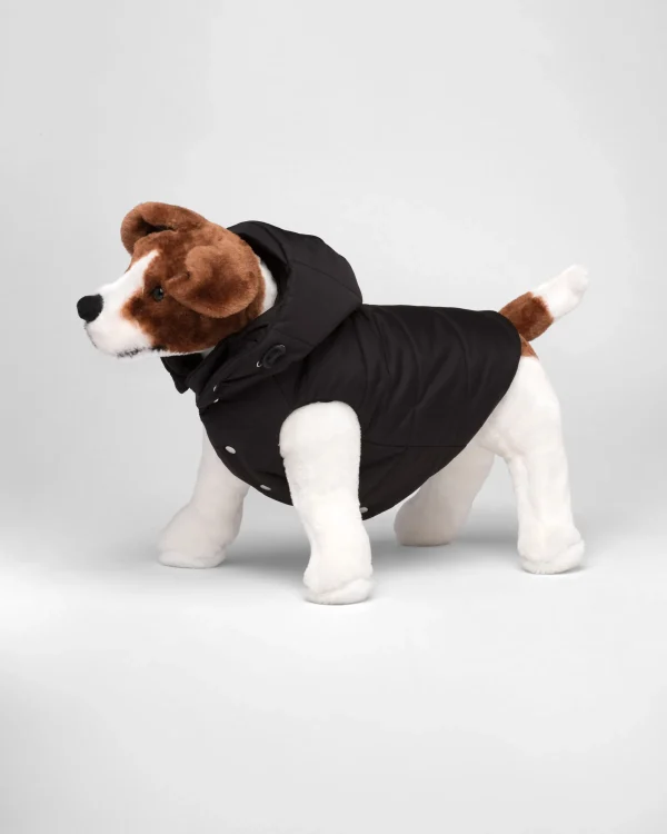 Pet Accessories*Prada Re-Nylon puffer dog coat with hood Black